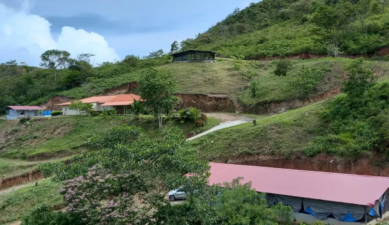 Finca Tulu 06