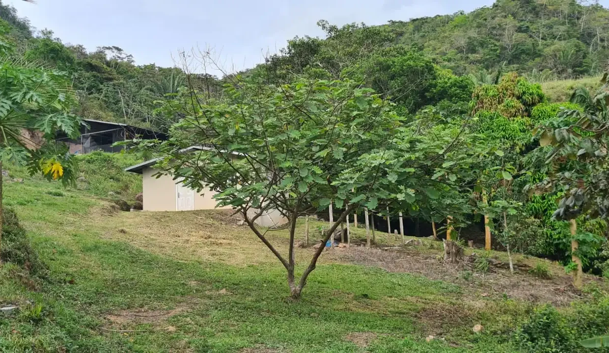 Finca Tulu 17