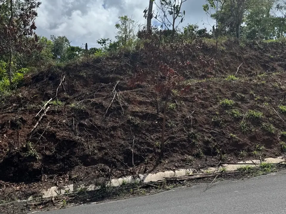 Acceso desde carretera Coclesito a terreno en venta Coclé Panamá