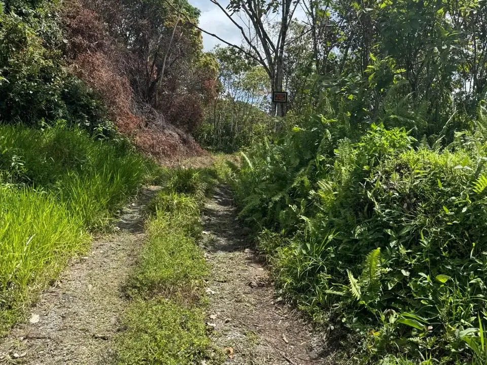 Entrada principal finca Ranchería La Pintada Coclé Panamá