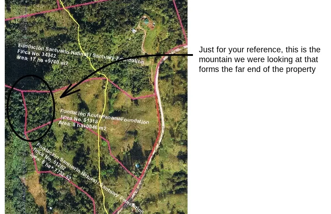 Mapa satelital propiedad 8 hectáreas Ranchería La Pintada Coclé