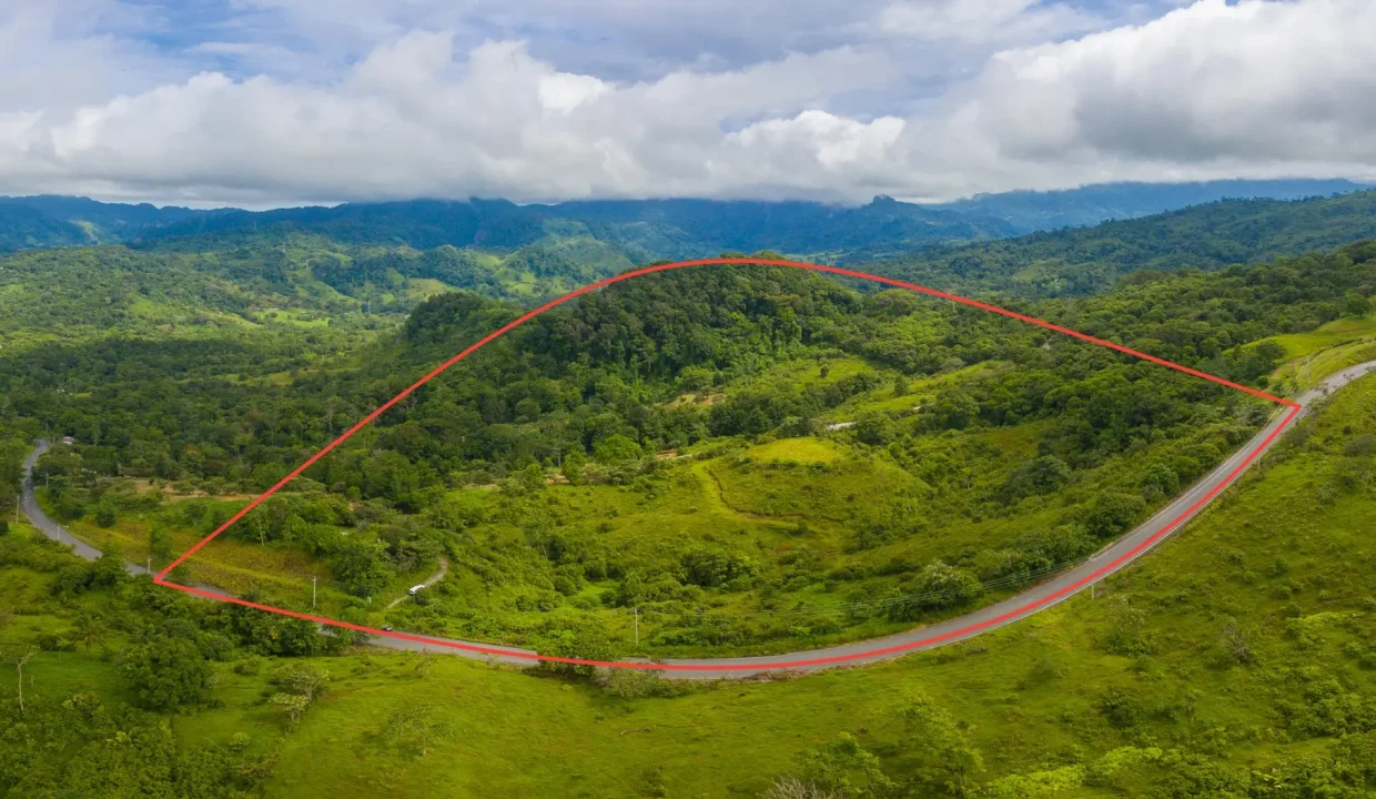 Vista aérea finca 20 acres en venta Ranchería La Pintada Coclé Panamá