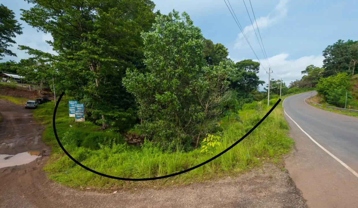 Vista del frente vial de terreno en venta en Panamá carretera Coclesito Coclé