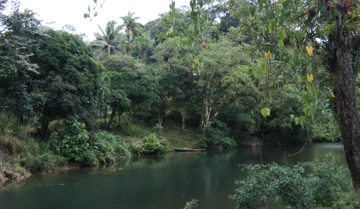 Vista frente al río de terreno en venta en Panamá Cutevilla La Pintada Coclé