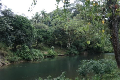 riverfront land for sale in Cocle Cutevilla Panama estate
