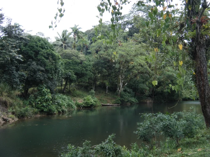 riverfront land for sale in Cocle Cutevilla Panama estate