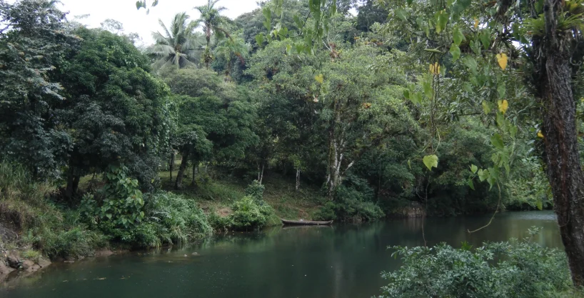 riverfront land for sale in Cocle Cutevilla Panama estate